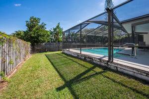 Backyard6