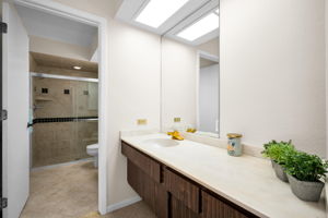 Primary Bathroom1a