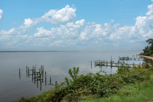  Photo 50