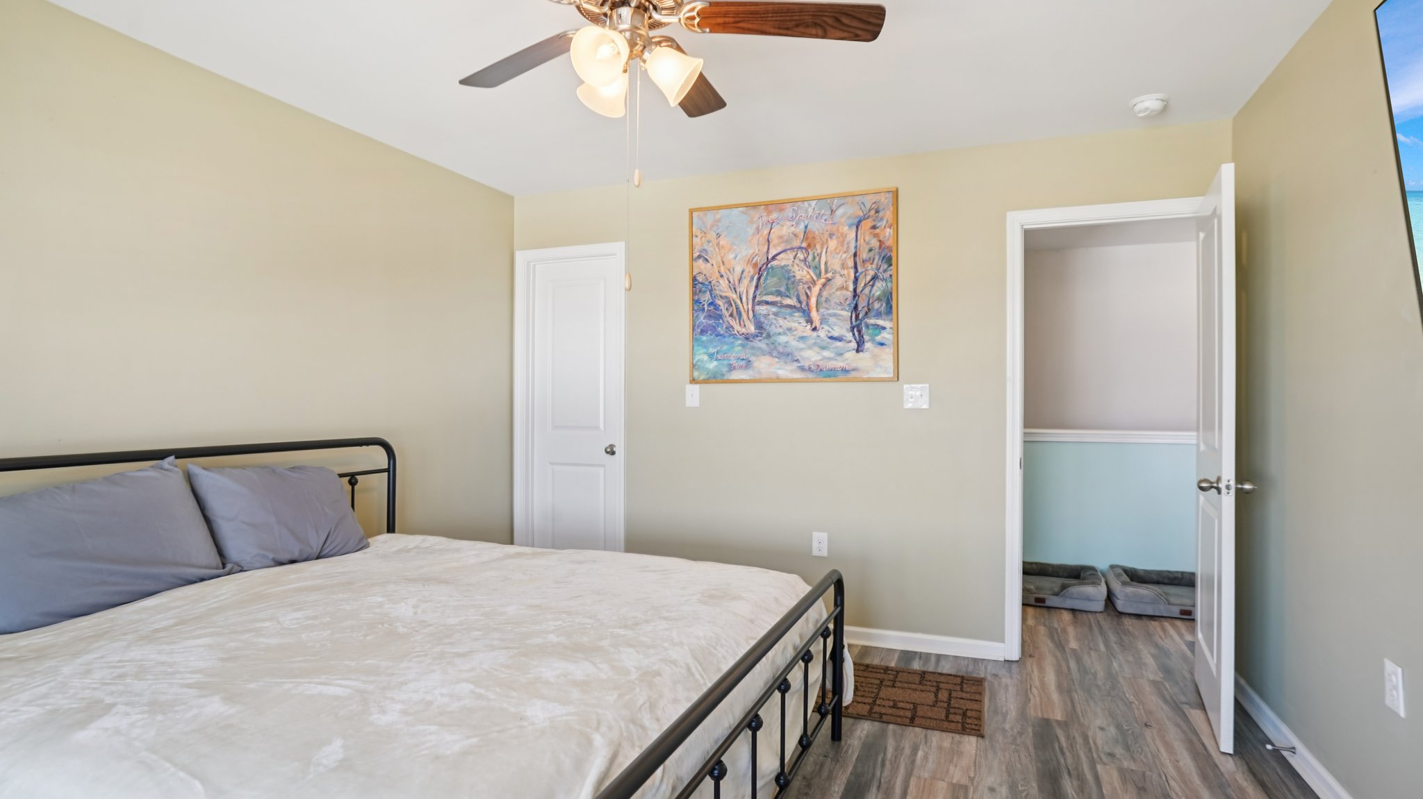 Roan St-S1209-035.jpg