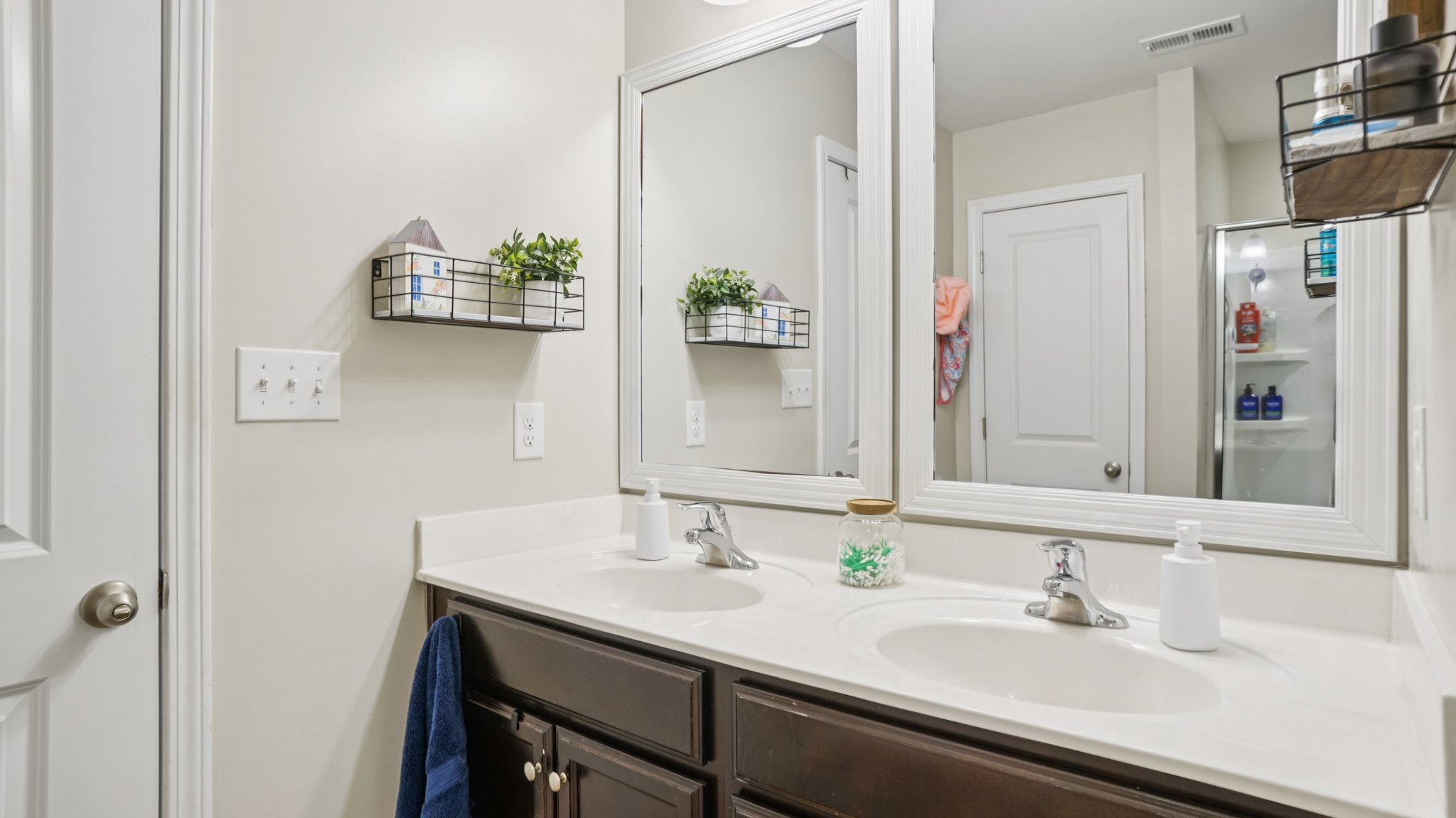 Roan St-S1209-047.jpg