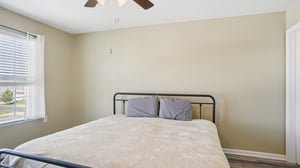 Roan St-S1209-034.jpg
