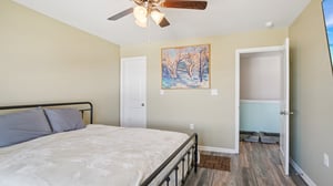 Roan St-S1209-035.jpg