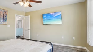 Roan St-S1209-036.jpg