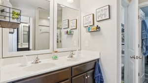 Roan St-S1209-042.jpg
