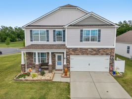 Roan St-S1309-002