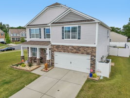 Roan St-S1309-003
