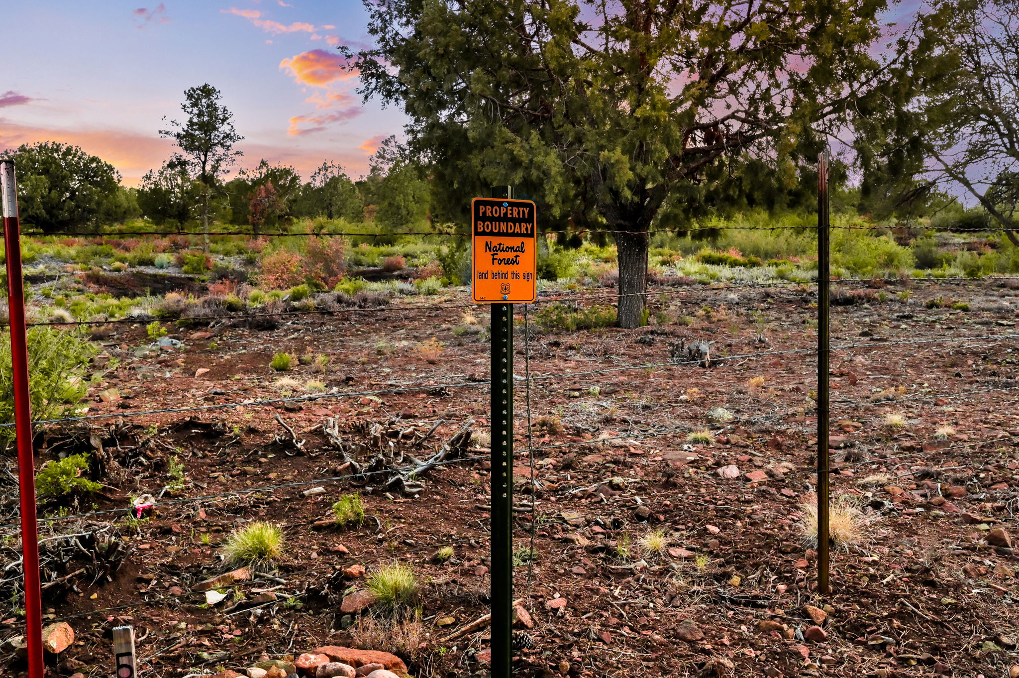 National Forest Boundary