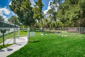 31-Community Dog Park