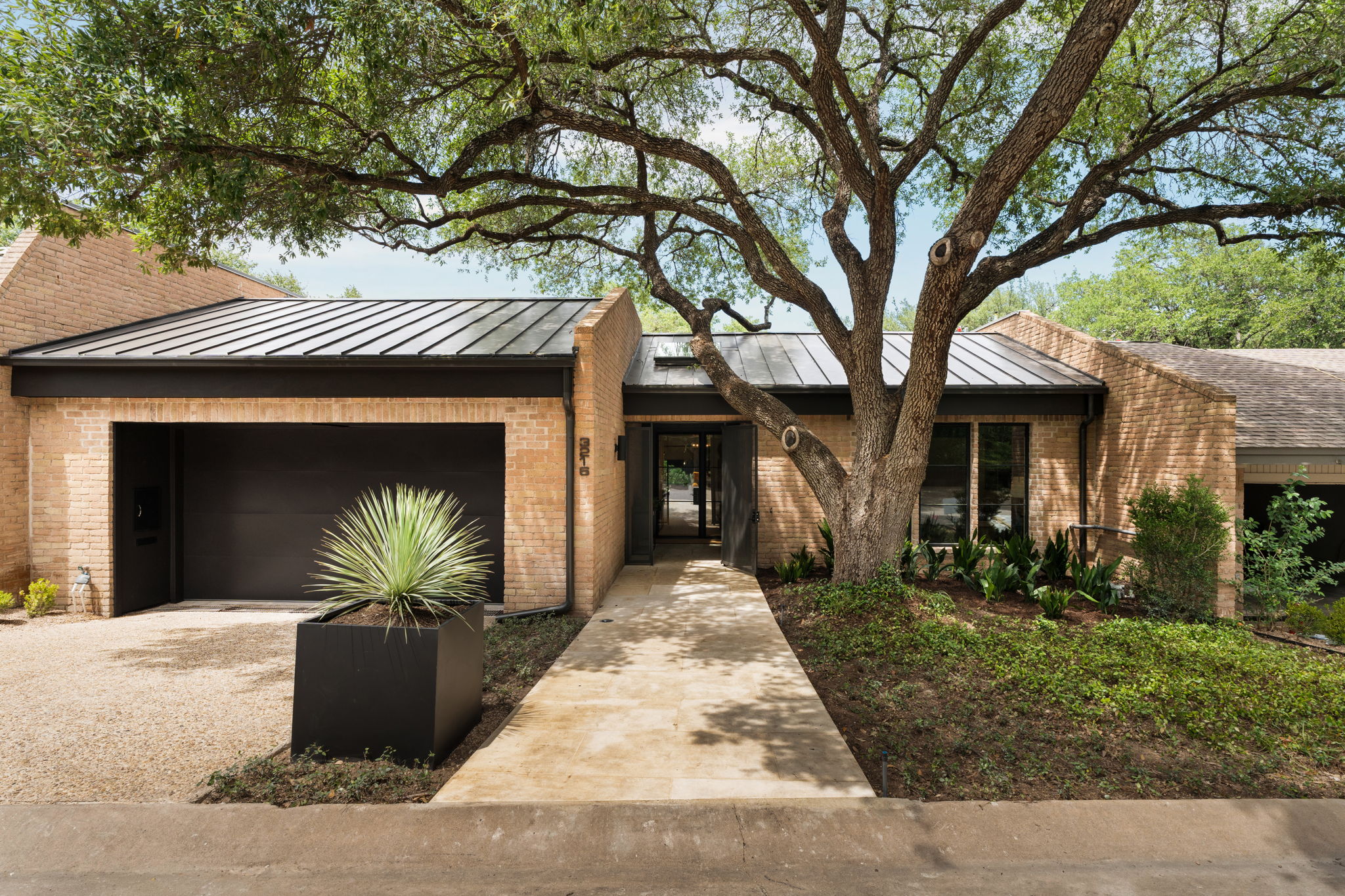 Sleek and elegant facade with majestic tree