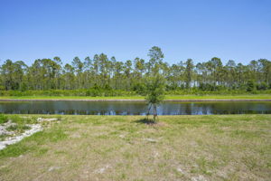 Orlando - Lake Deer Estates - 3218 Viceroy Ct Haines City FL 33844 - 030