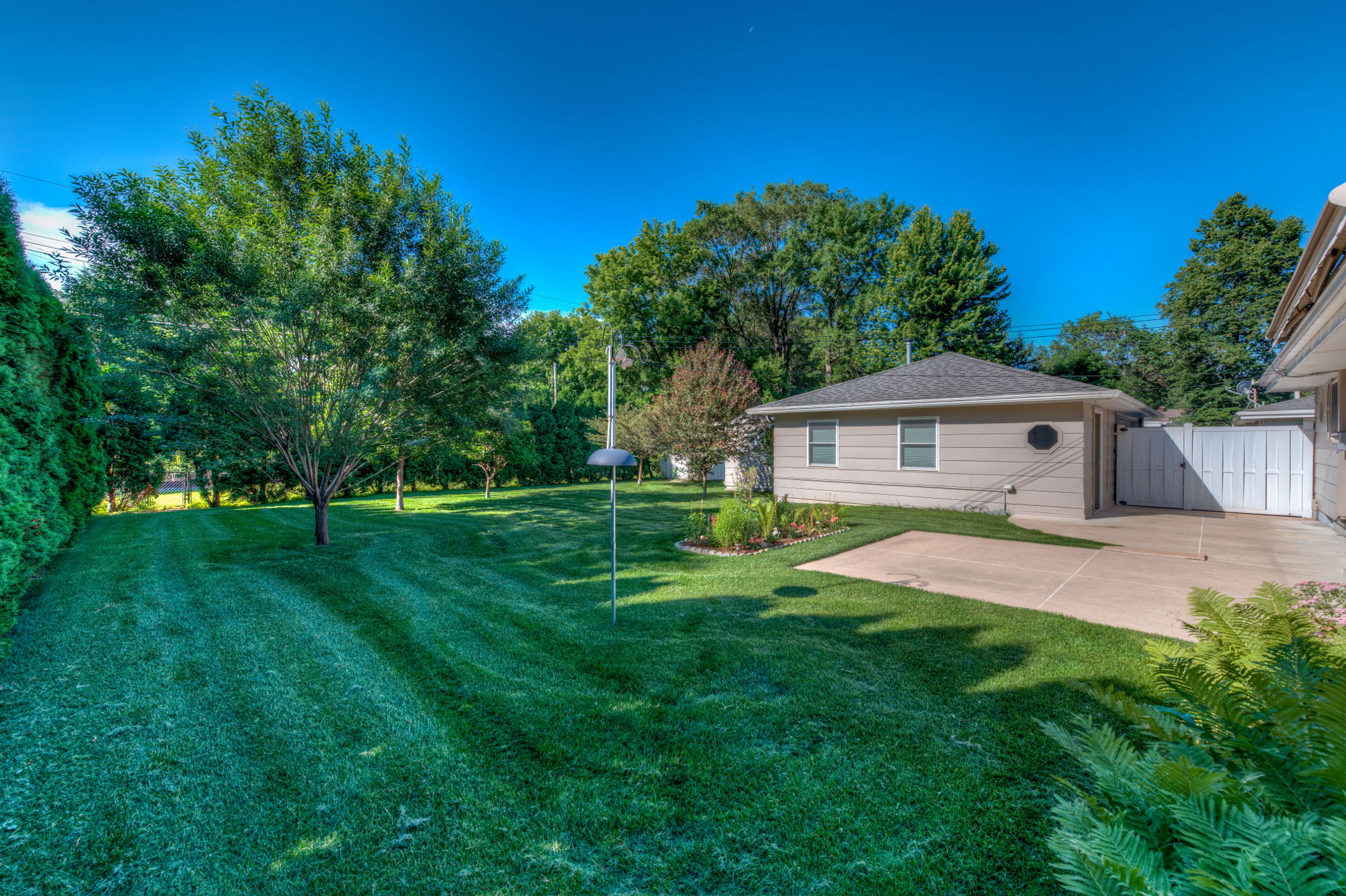 Back Yard