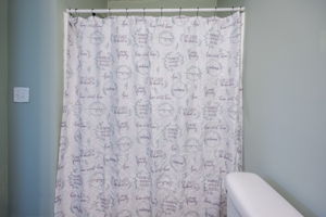 Photo 47