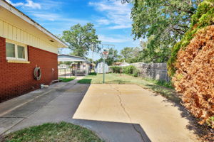 Photo 46