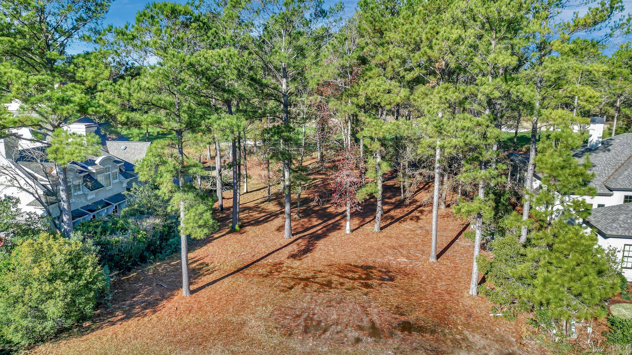 322 Good Hope Rd, Bluffton, SC 29909 Elevated Coastal Productions