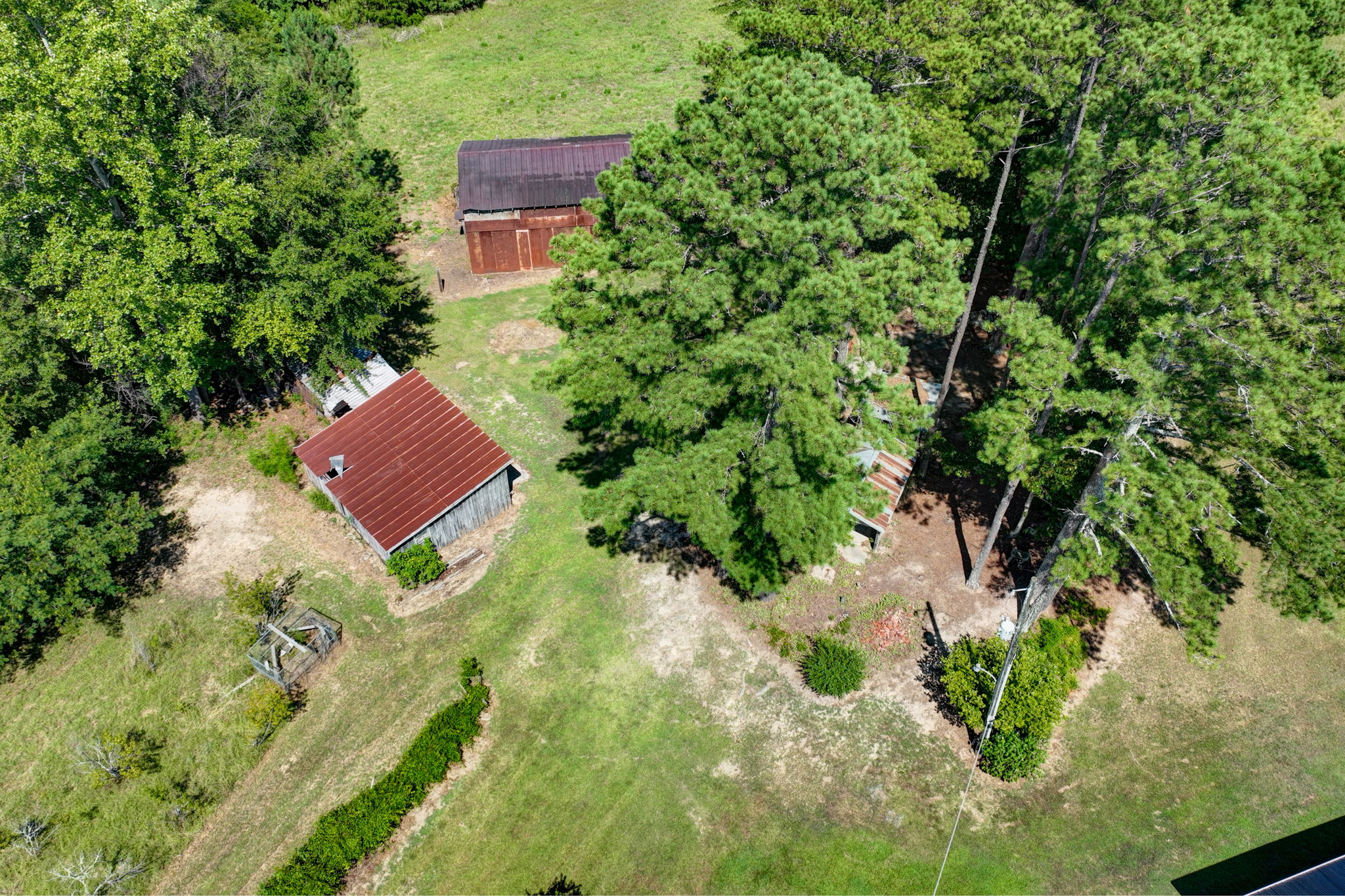  Photo 105