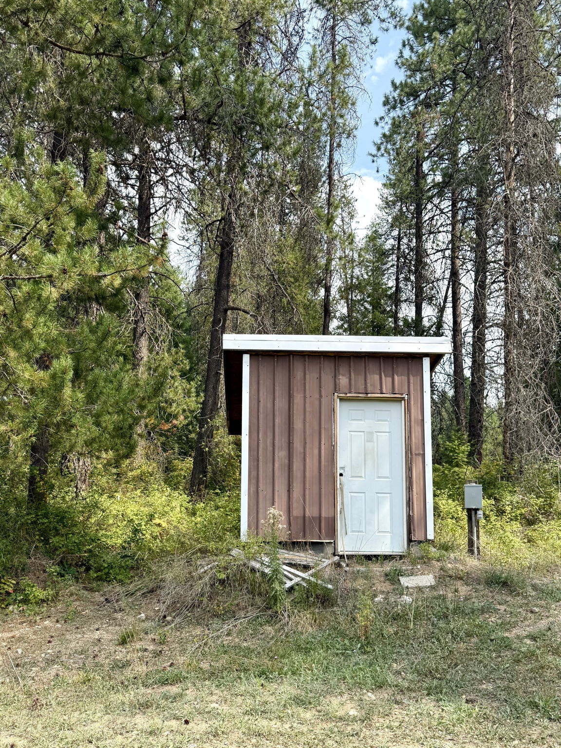  Photo 41