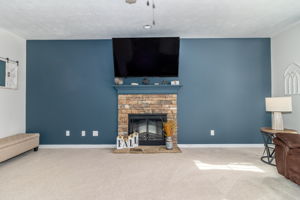 Living Room Fireplace
