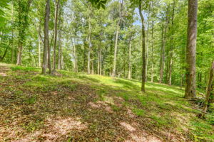 Back of Property