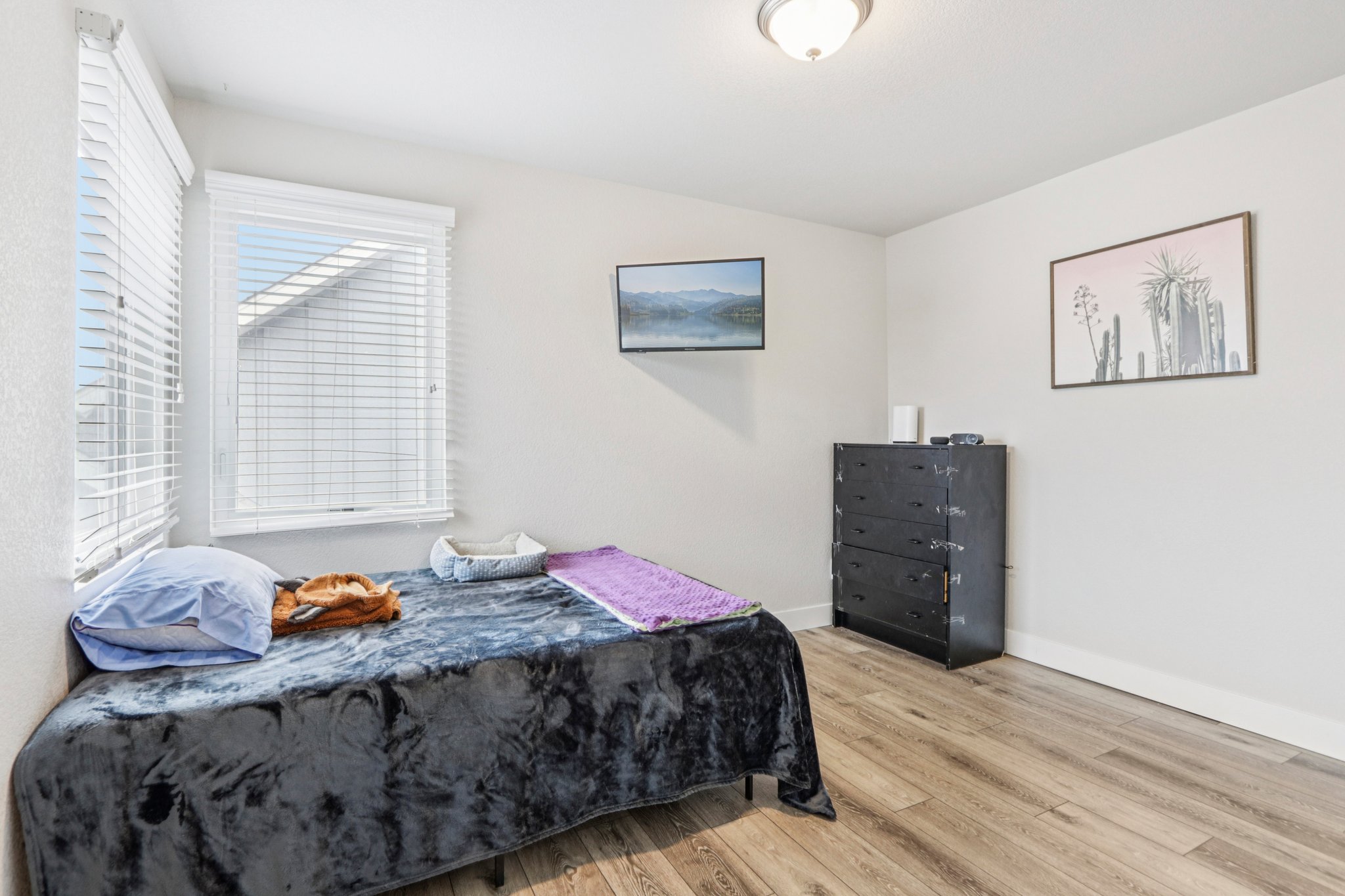 Picasso Dr-S1504-018.jpg