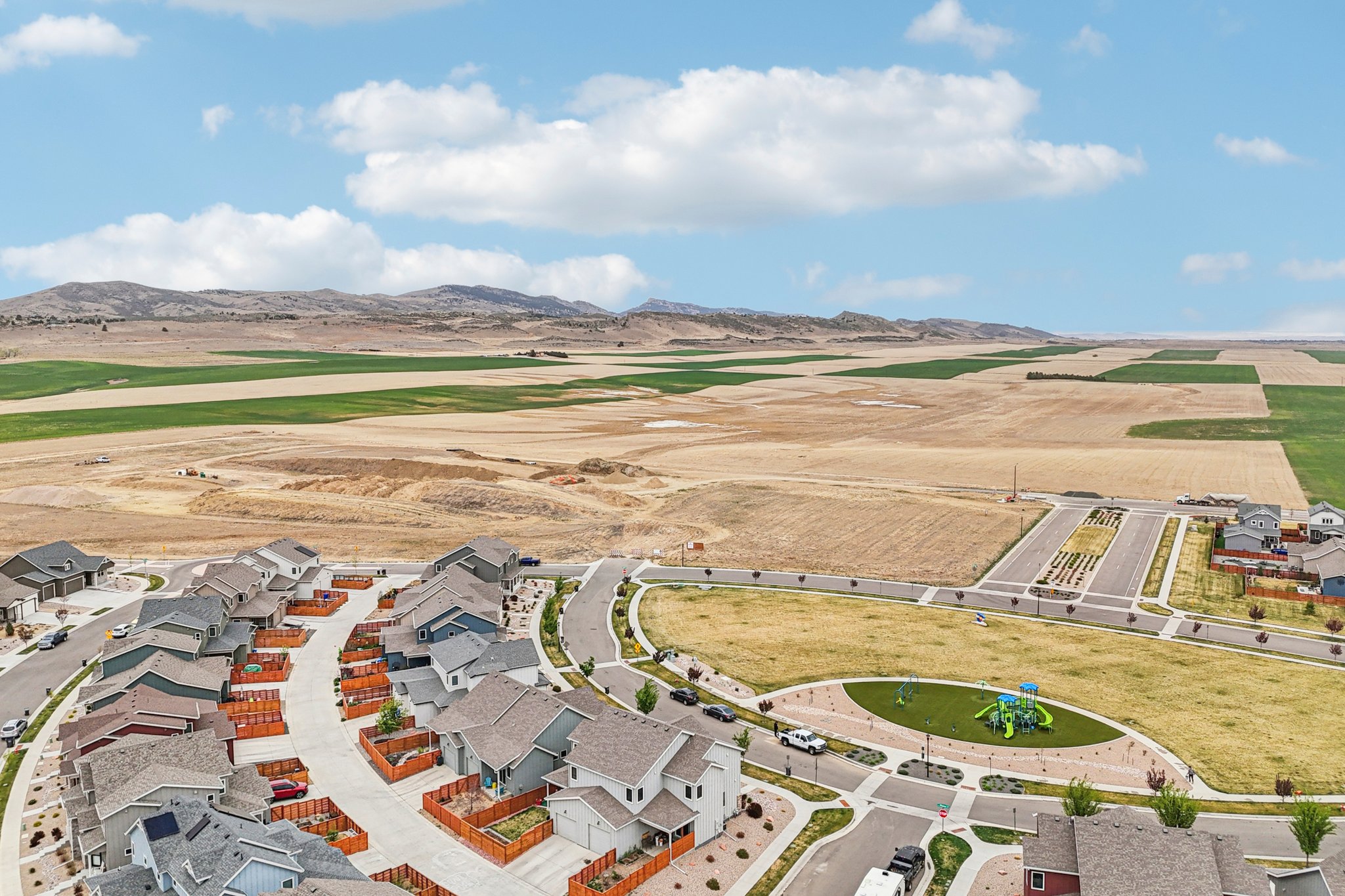 Picasso Dr-S1504-050.jpg