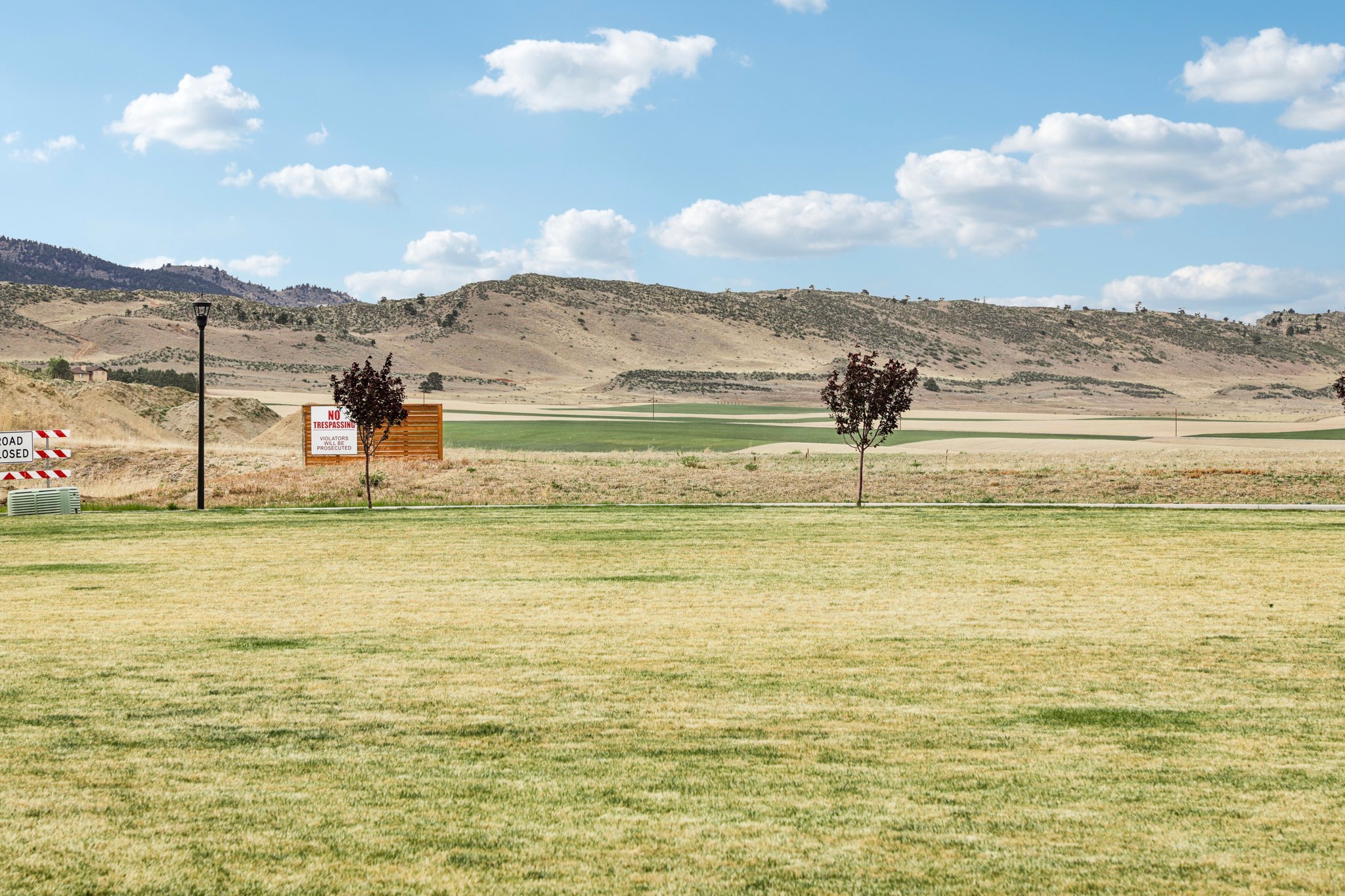 Picasso Dr-S1704-1-009.jpg