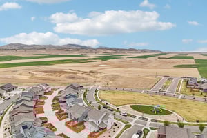 Picasso Dr-S1504-050.jpg