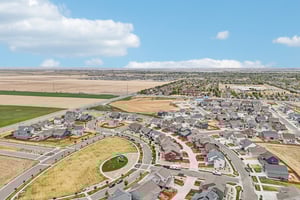 Picasso Dr-S1504-055.jpg