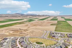 Picasso Dr-S1504-058.jpg