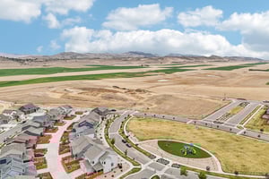 Picasso Dr-S1504-059.jpg