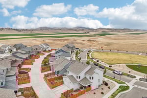 Picasso Dr-S1504-064.jpg