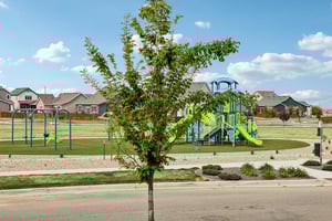 Picasso Dr-S1704-1-008.jpg