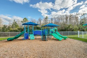 3221 Curving Oaks Way, Orlando, FL 32820, USA Photo 47
