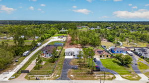 Aerial 1