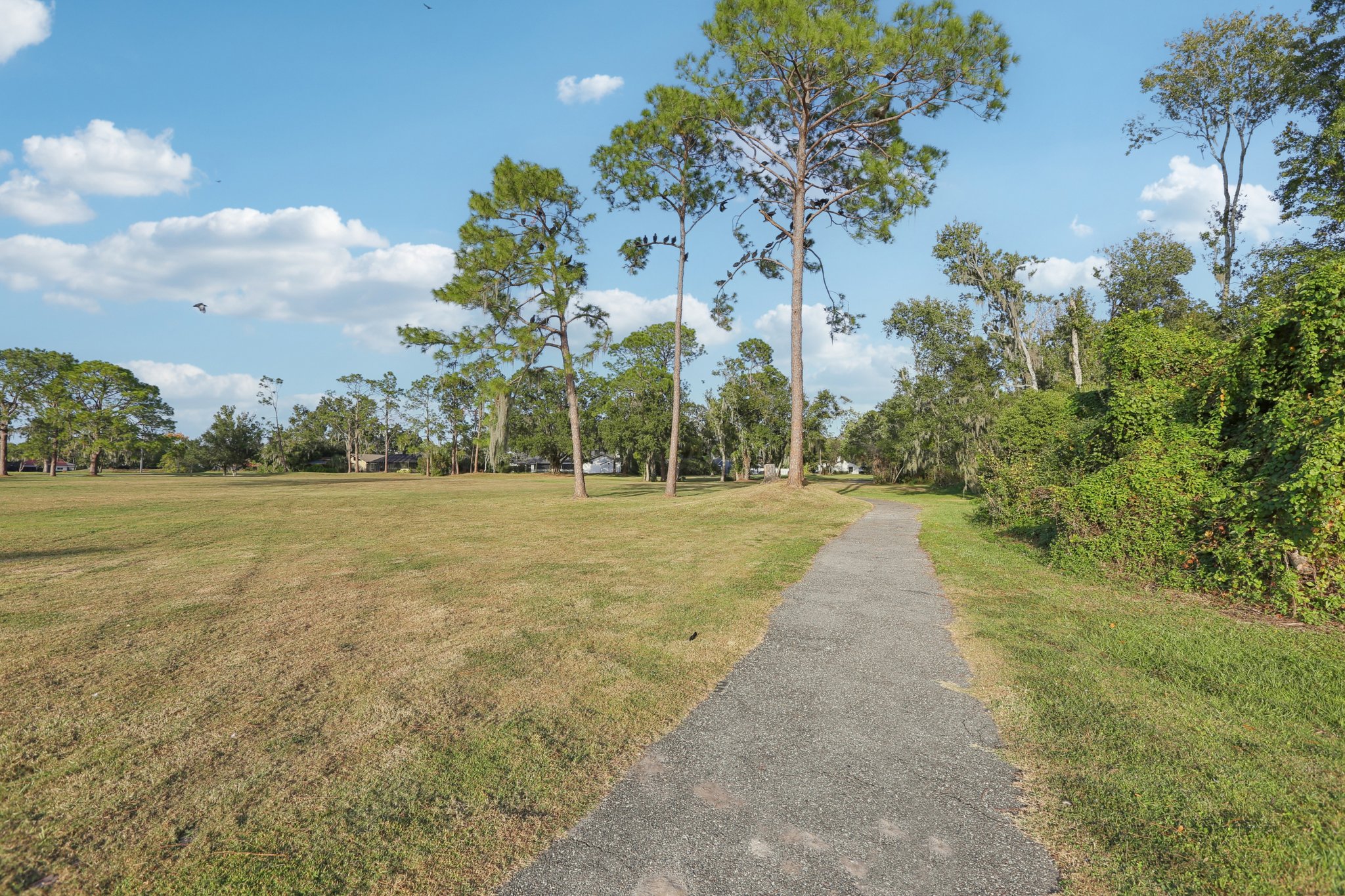 Pine Club Dr-0611-901.jpg