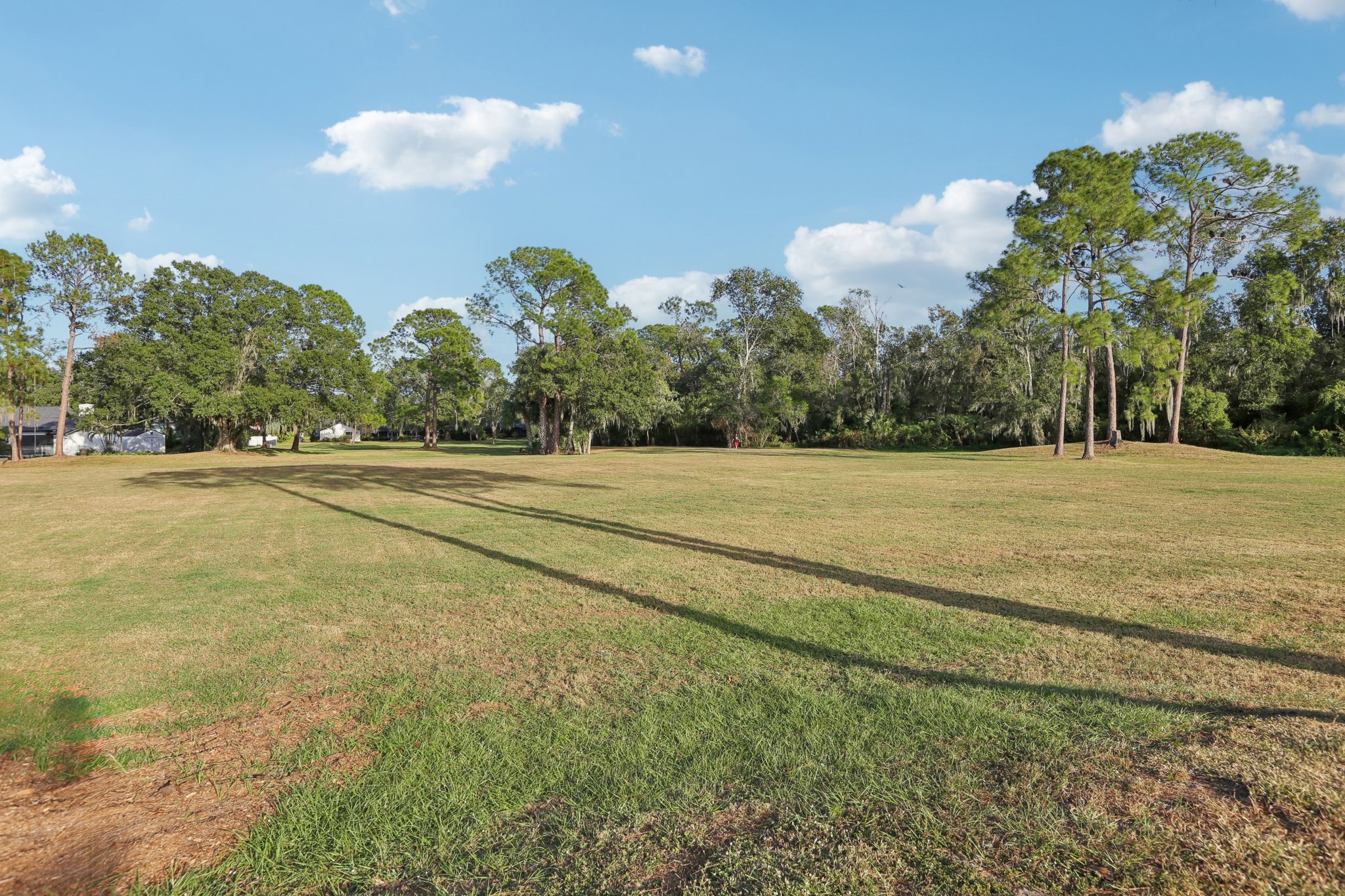 Pine Club Dr-0611-906.jpg