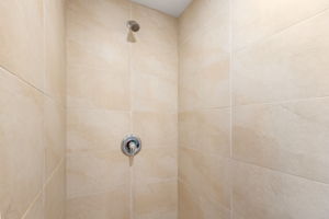  Photo 50