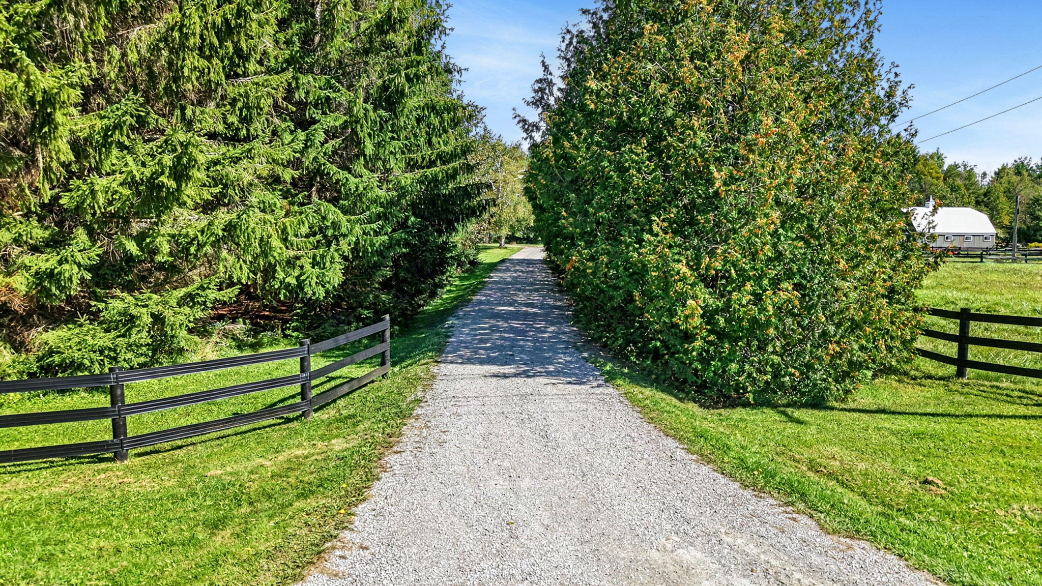  Photo 81