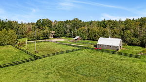  Photo 83
