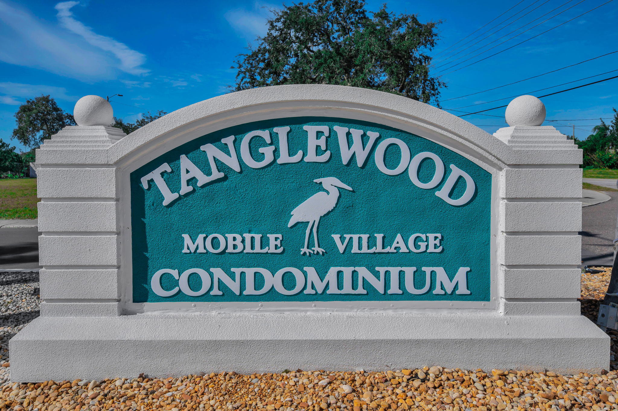 28-Tanglewood