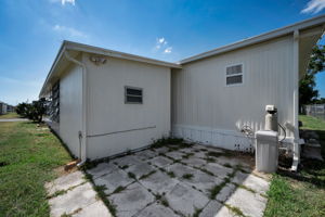Backyard2