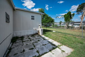Backyard3