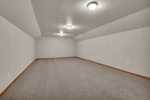  Photo 50