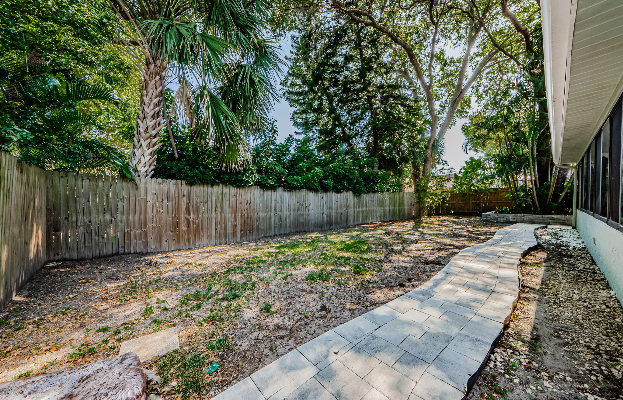 Backyard 1