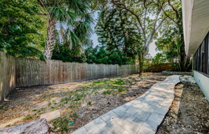 Backyard 1