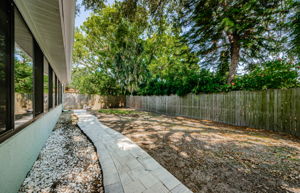 Backyard 4