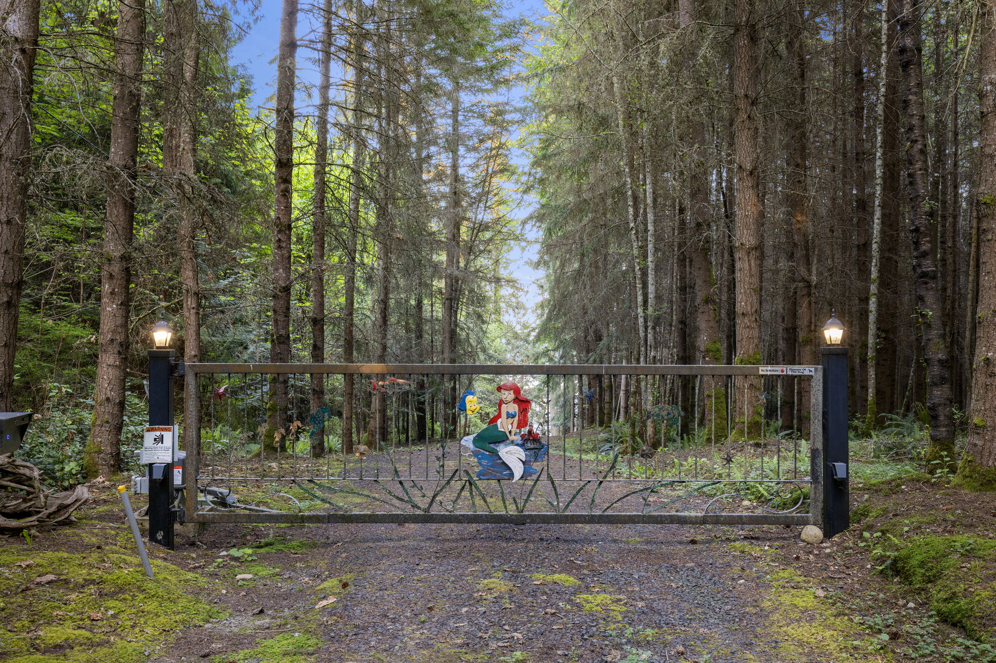 Gated drive to your private oasis!