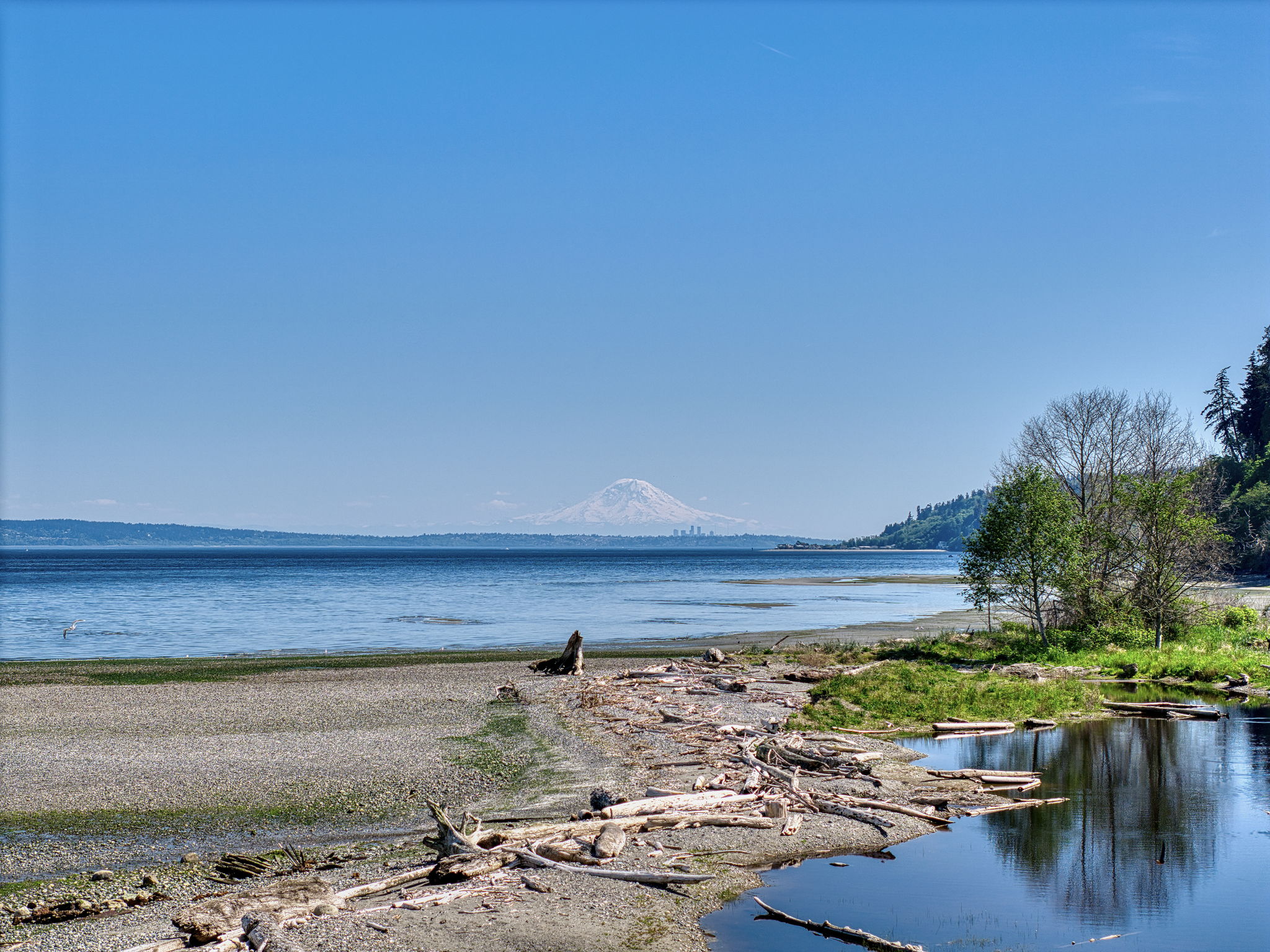Your beach, with a view of "THE mountain." Oh hello Mt. Rainier and Seattle skyline!
