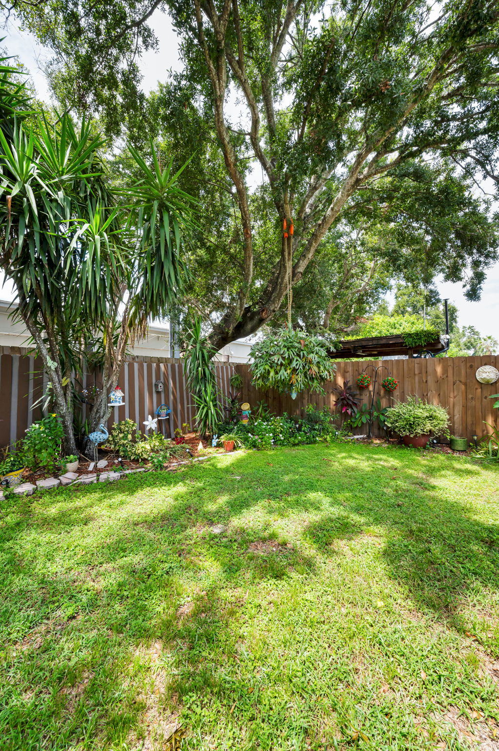 Backyard2