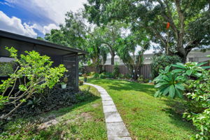 Backyard1